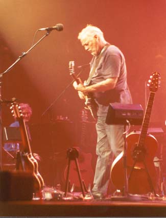 DG08.jpg