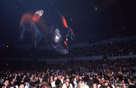 Pig (live 1980)